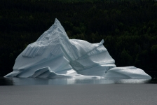 Iceberg, King's Point Newfoundland